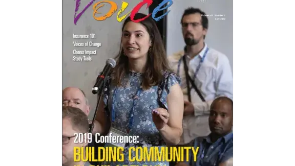 Voice cover